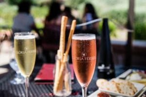 意大利球员在世界杯预选赛中获胜：荣耀、战术与激情的完美交织