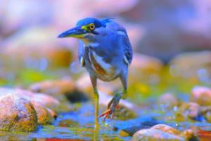 红色旋风席卷！比利时完美晋级，小组赛史诗级表现点燃世界杯激情