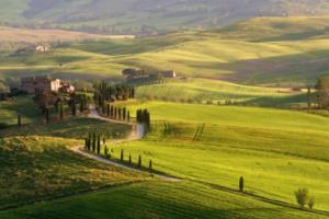 希腊选手斩获铜牌，实力强劲！